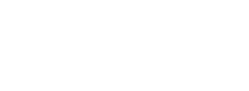 صدارة الاعمار